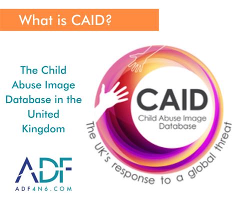 caid synonyme|what is a caid.